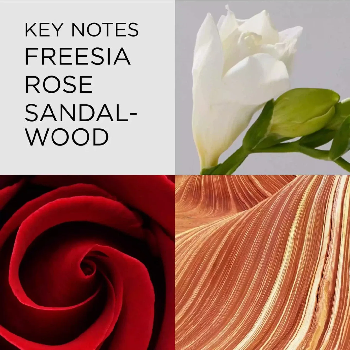 Elizabeth Arden Red Door Body Wash & Lotion Set image indicator(2)