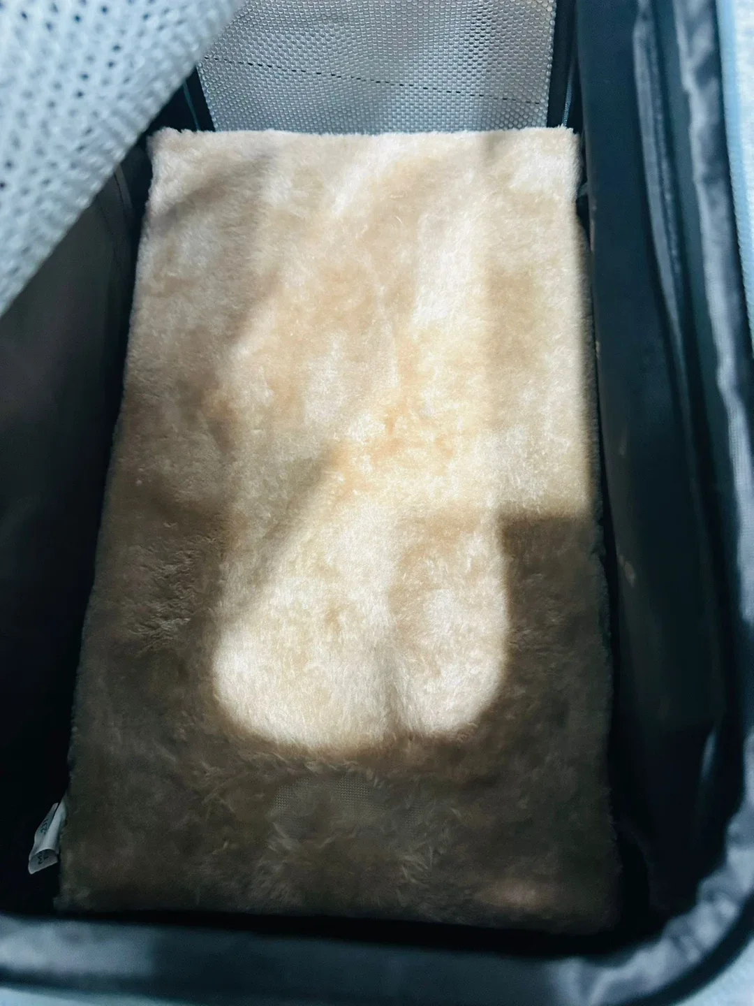 Petsfit Expandable Cat Carrier - Light Gray image indicator(6)