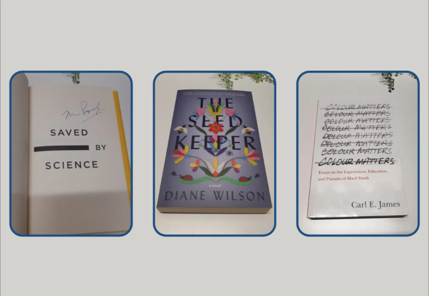 Bundle of Novels/Books