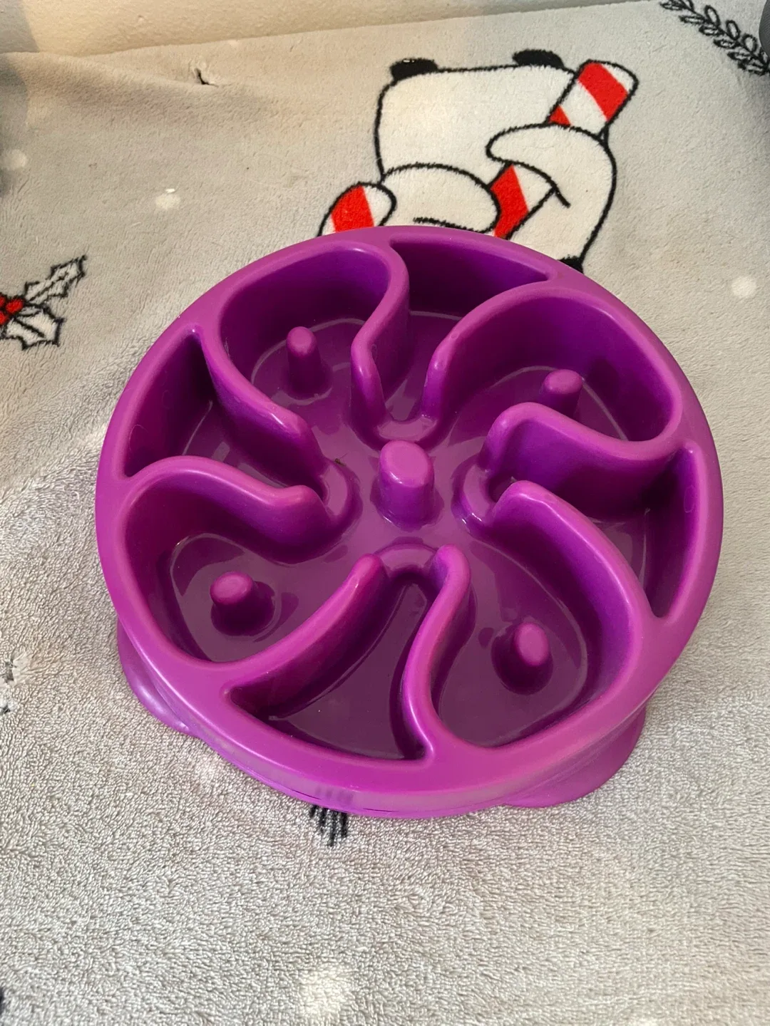 2 Cup Slow Feeder Dog Bowl