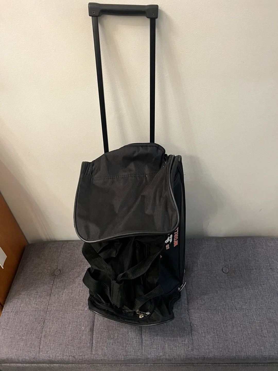 Walt Disney World Rolling Suitcase