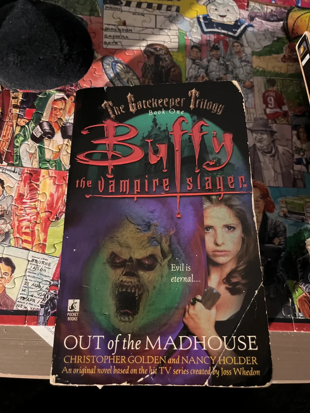 Buffy the Vampire Slayer: Out of the Madhouse Book