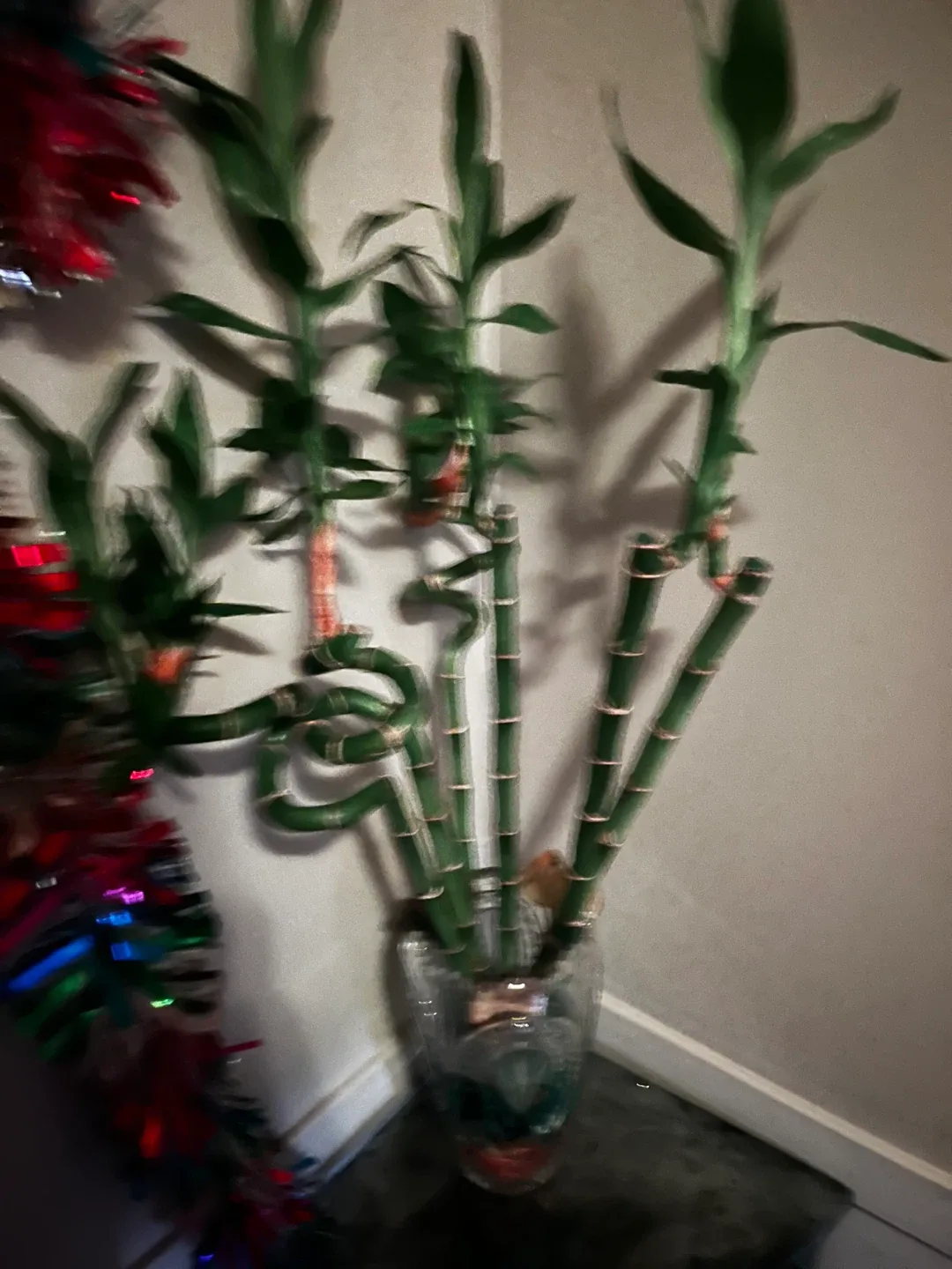 Need help rearranging or lifting sh*t?