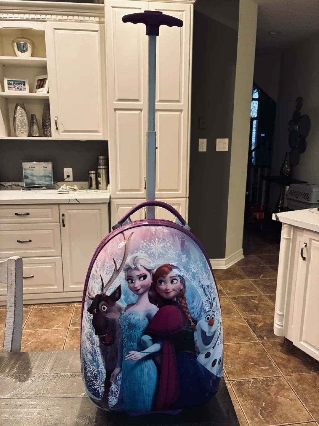 “Heys” Frozen kids hardcover suitcase