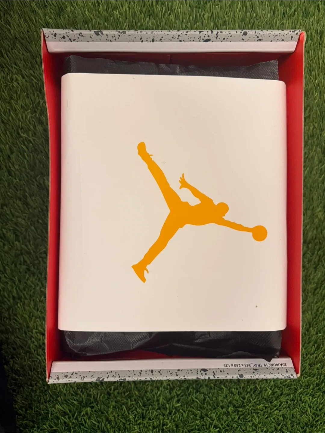 New Jordan 4 Retro Fears image indicator(5)