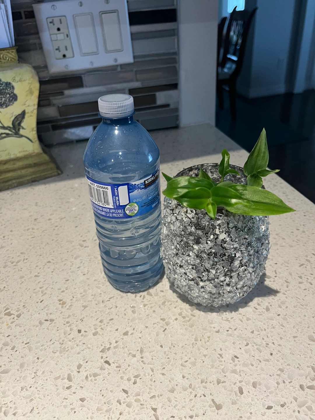tradescantia Plant in pot - photo 2