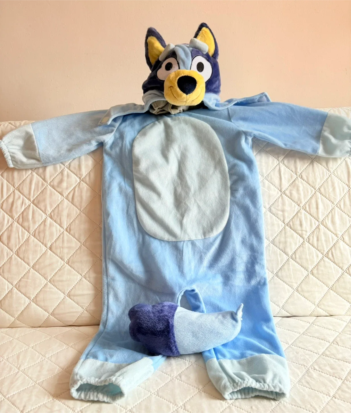 Bluey Costume Size 2T-3T