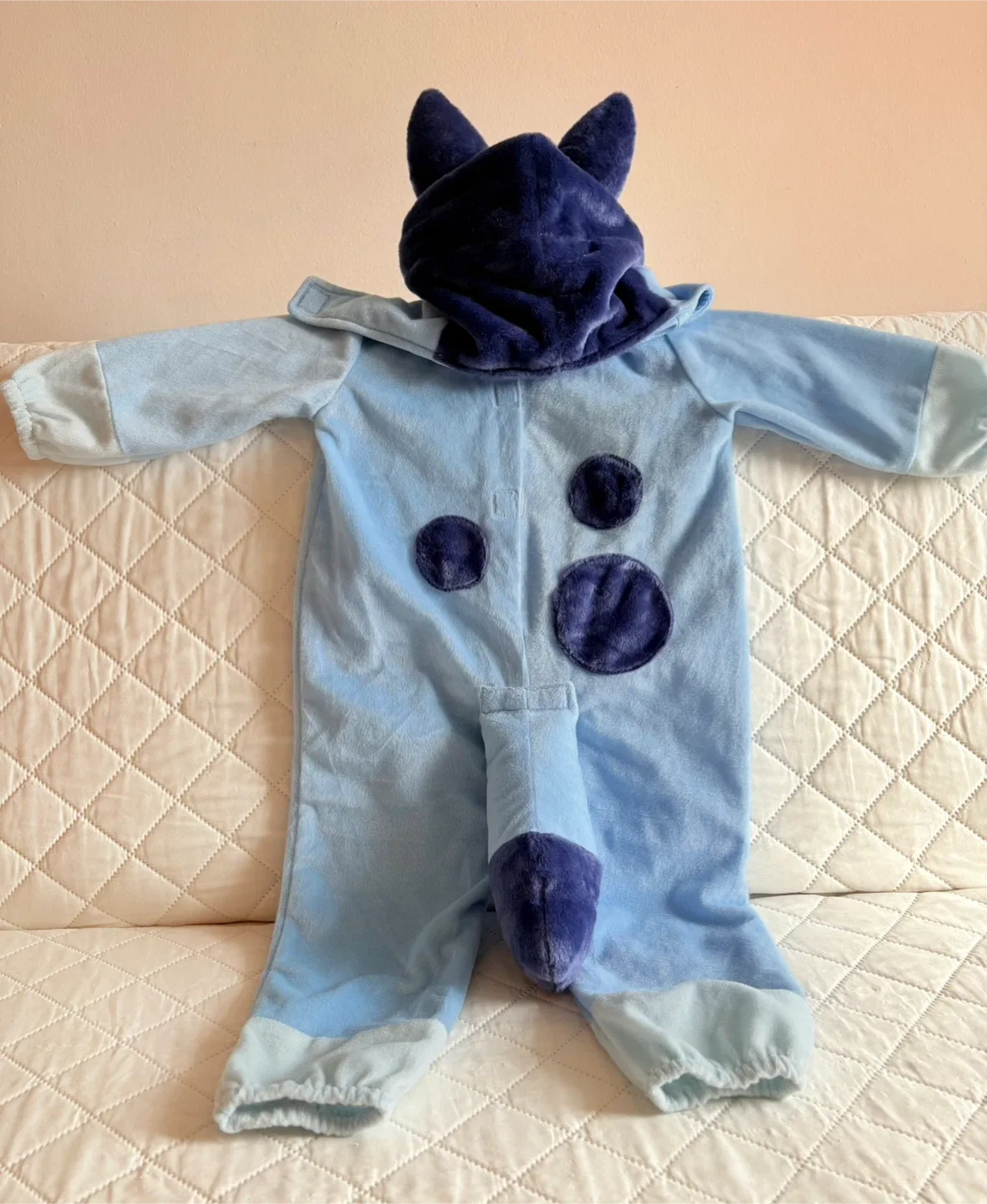 Bluey Costume Size 2T-3T image indicator(2)
