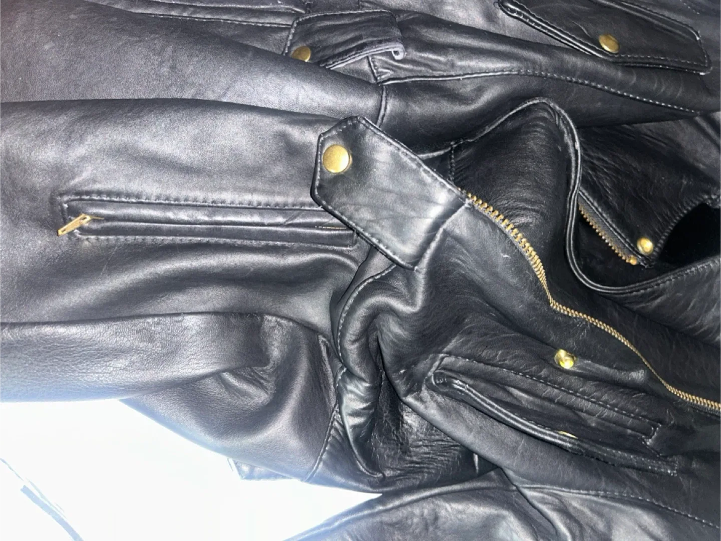 Leather Jacket Real (Dixie&Bloor) image indicator(7)