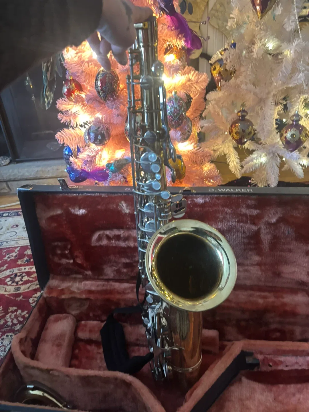 D. Walker Saxophone with Case