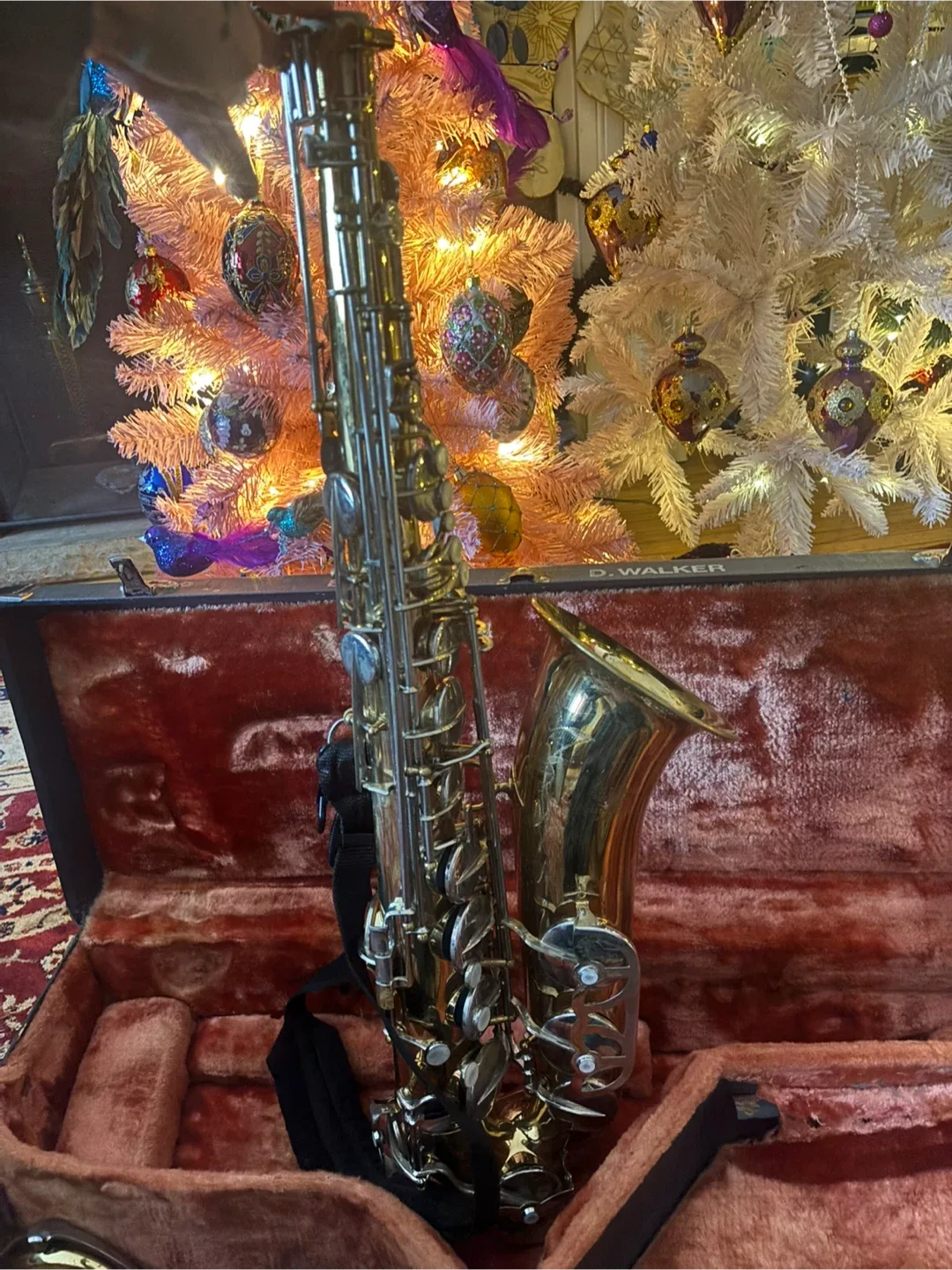 D. Walker Saxophone with Case image indicator(2)