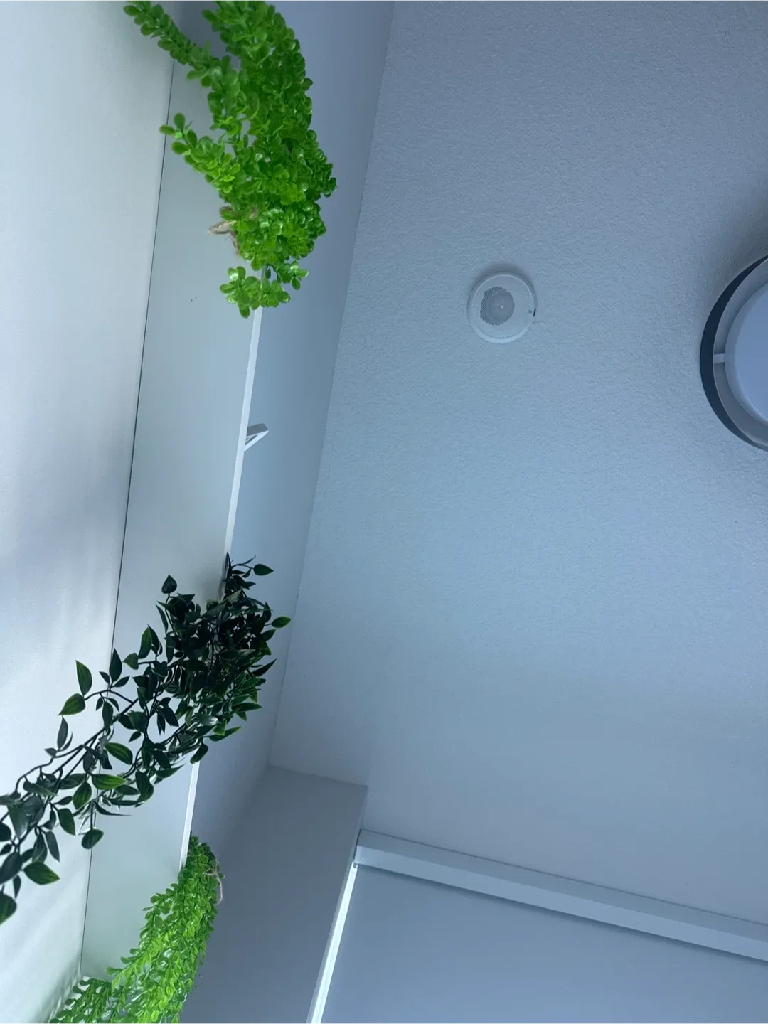 MOVE OUT SALE- BED FRAME, MATRESS, SHELF, NIGHT STAND image indicator(5)