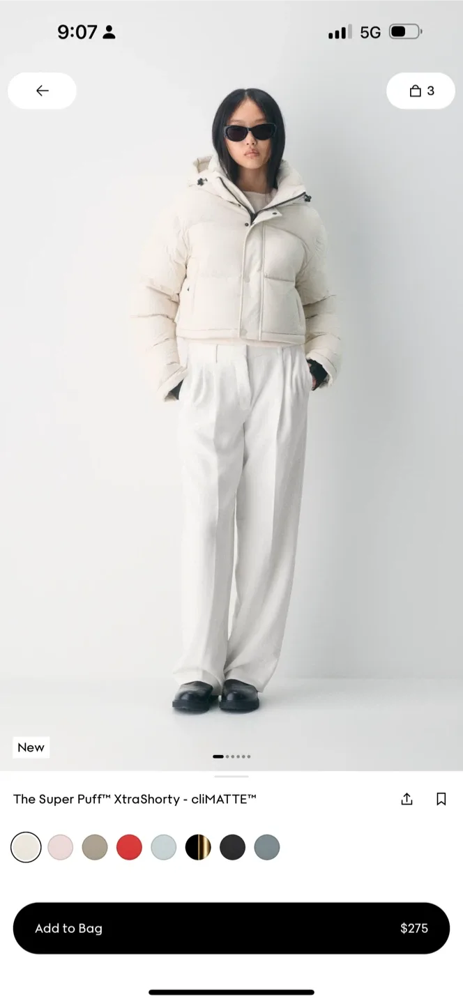 New Aritzia Super Puff XtraShorty - cliMATTE