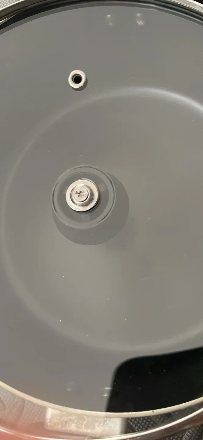 Free lid, 11" T-fal Stock Pot