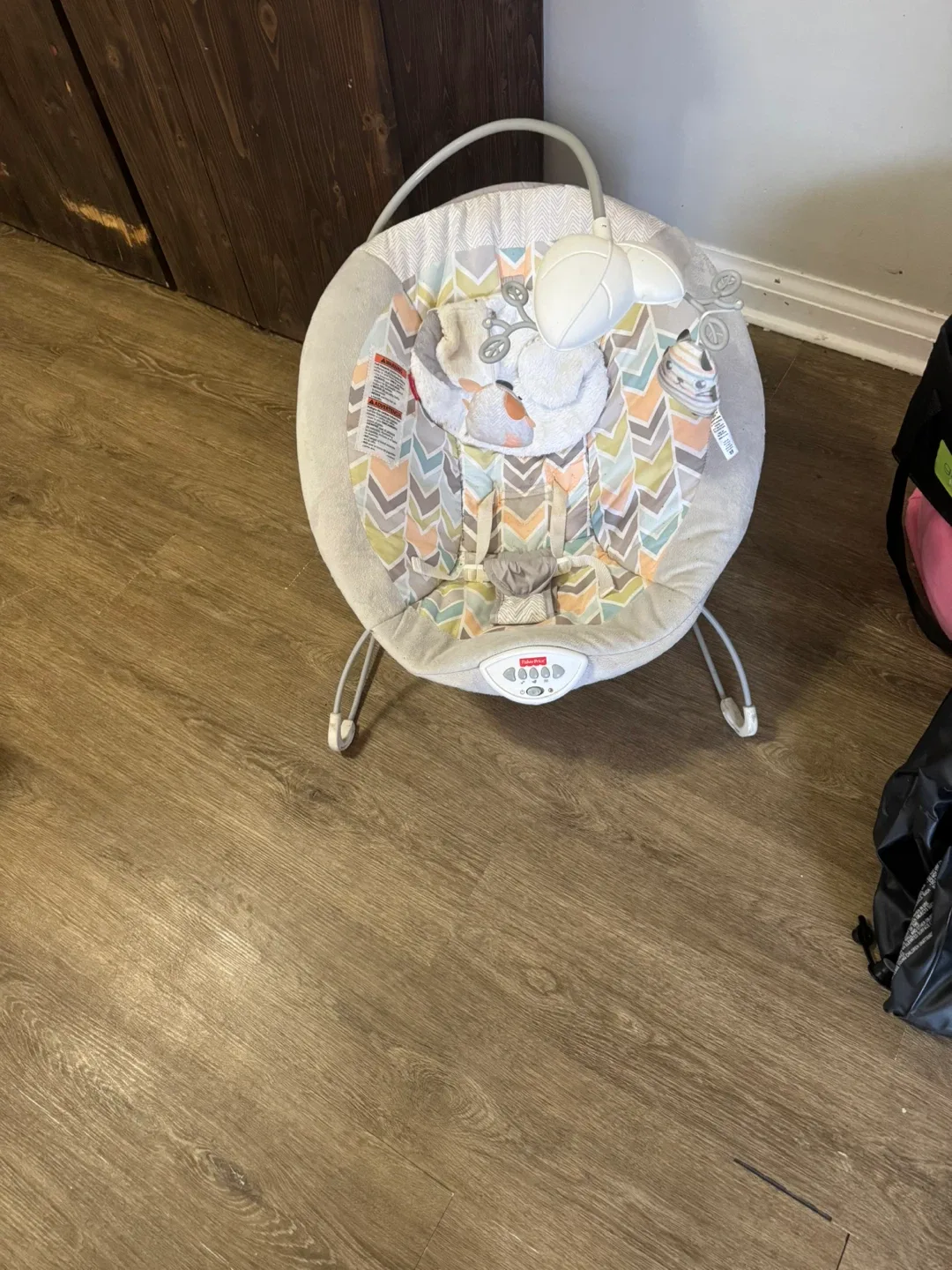 Fisher-Price Baby Bouncer