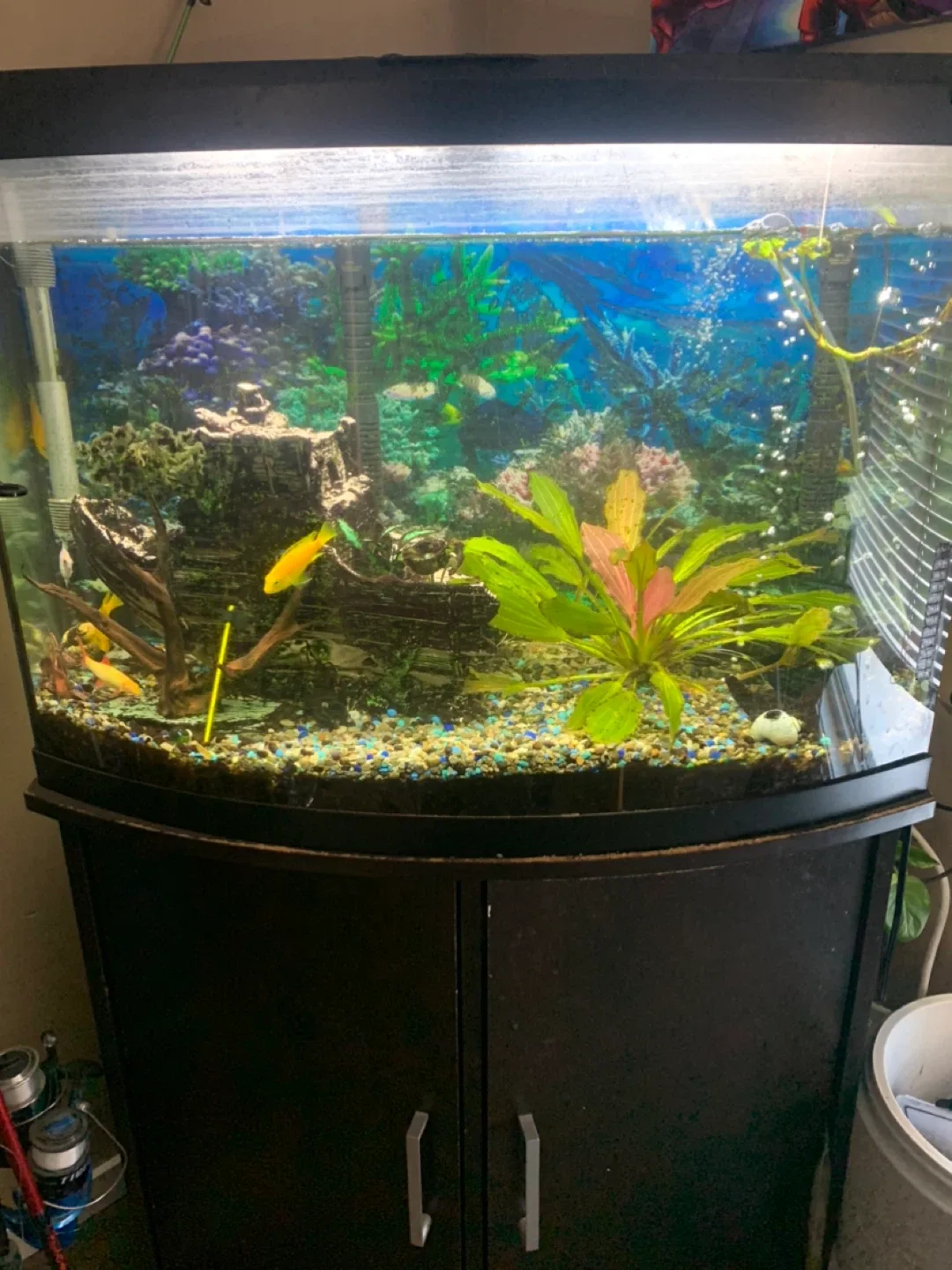 Fish Tank with Stand image indicator(3)
