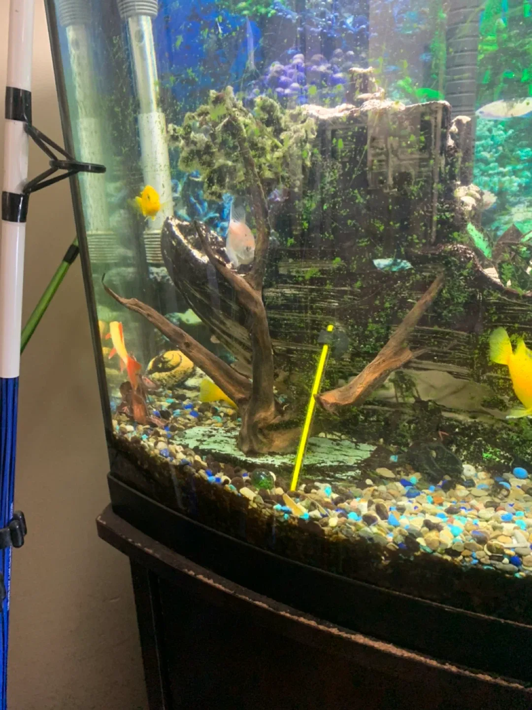 Fish Tank with Stand image indicator(2)