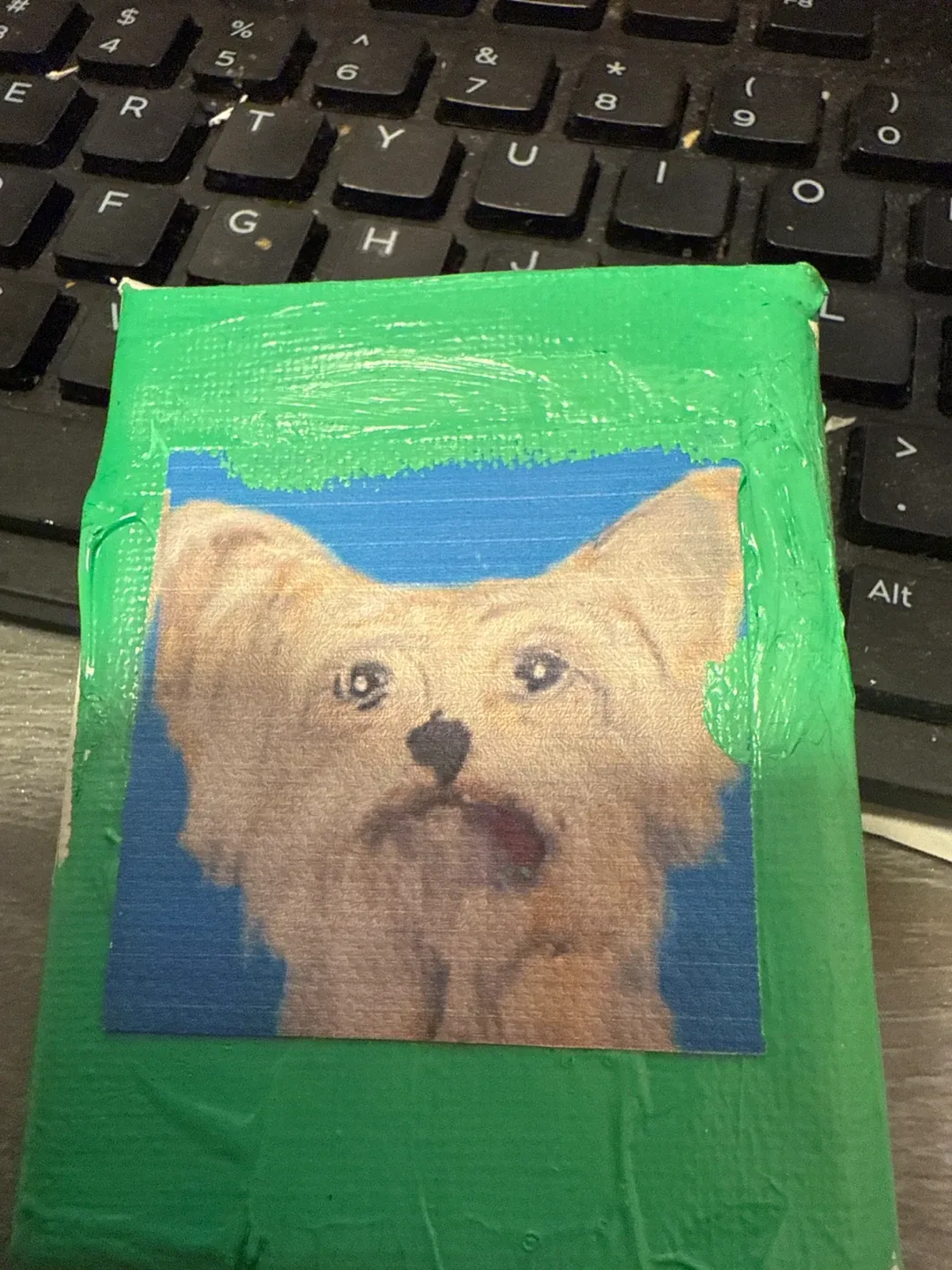 Picture painting dog