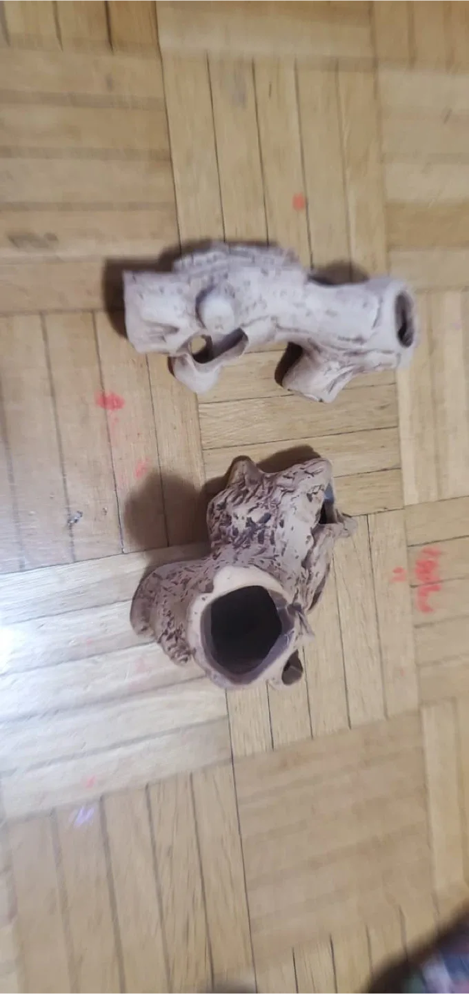 Used Aquarium with Accessories image indicator(5)