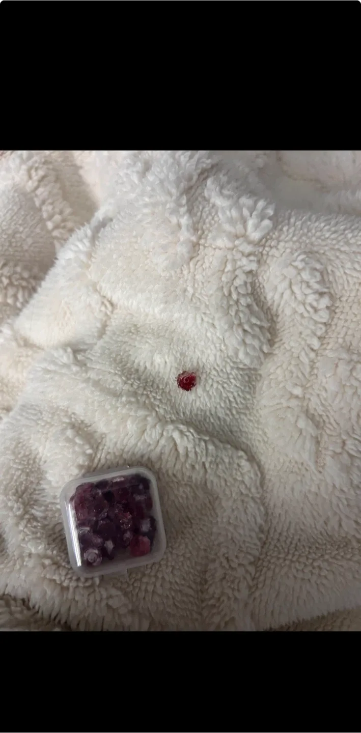 blood rose nail charm