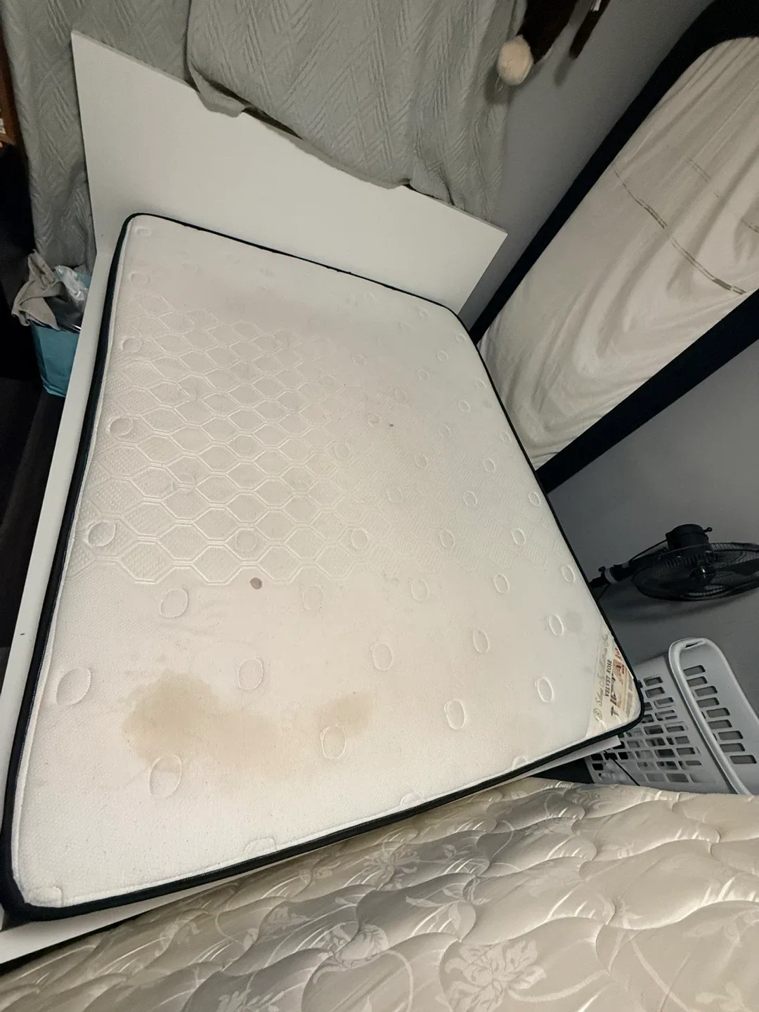 Sleep In Mattress Inc. Velvet Rose Mattress image indicator(6)