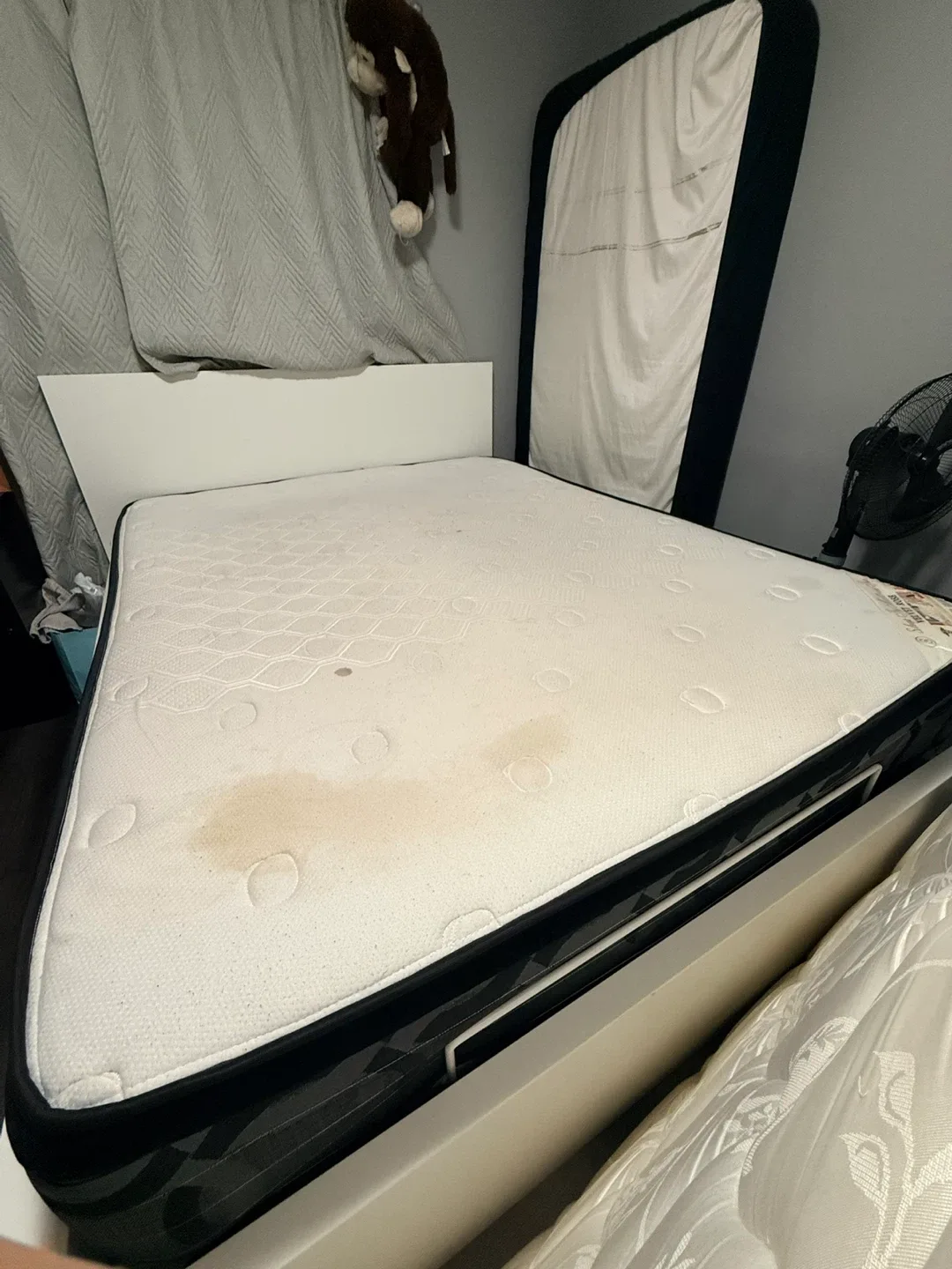 Sleep In Mattress Inc. Velvet Rose Mattress image indicator(5)