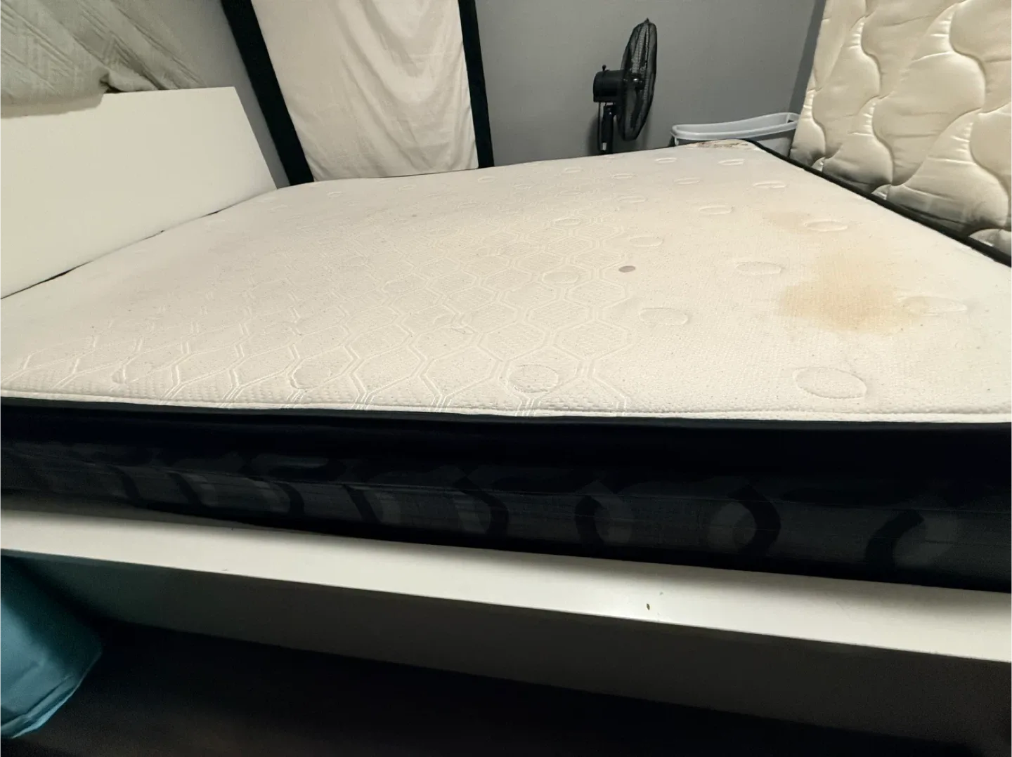 Sleep In Mattress Inc. Velvet Rose Mattress image indicator(7)