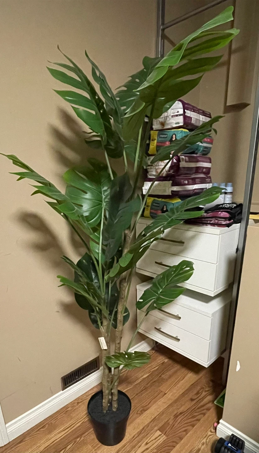 Ashland Monstera Tree - Faux Plant (6ft)