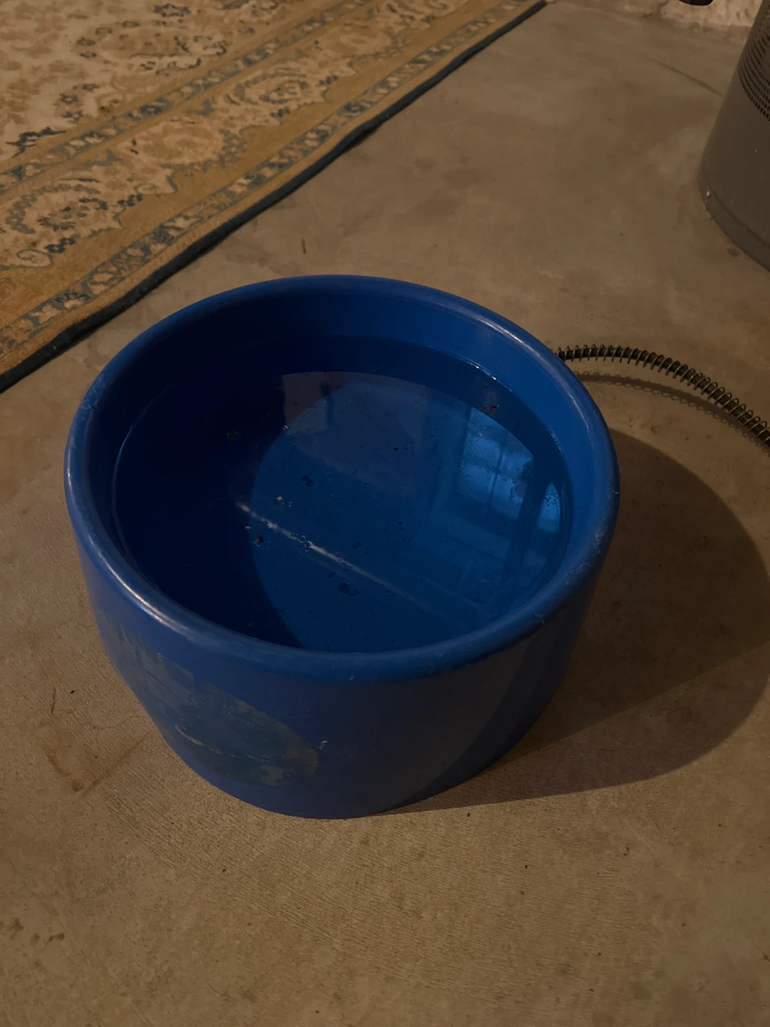 Blue Pet Bowl.   Heated 120v.