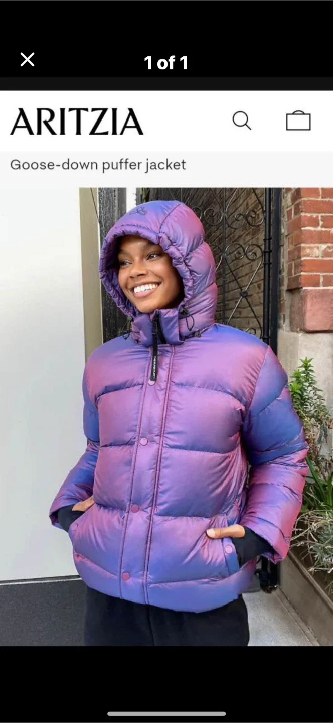 Aritzia Goose-Down Puffer Jacket