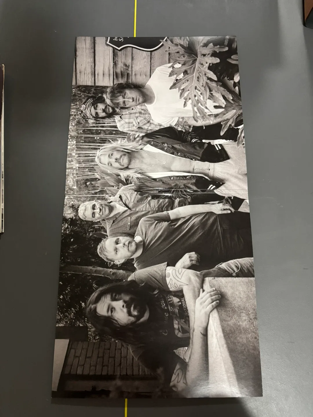 The Essential Foo Fighters Vinyl Record image indicator(3)