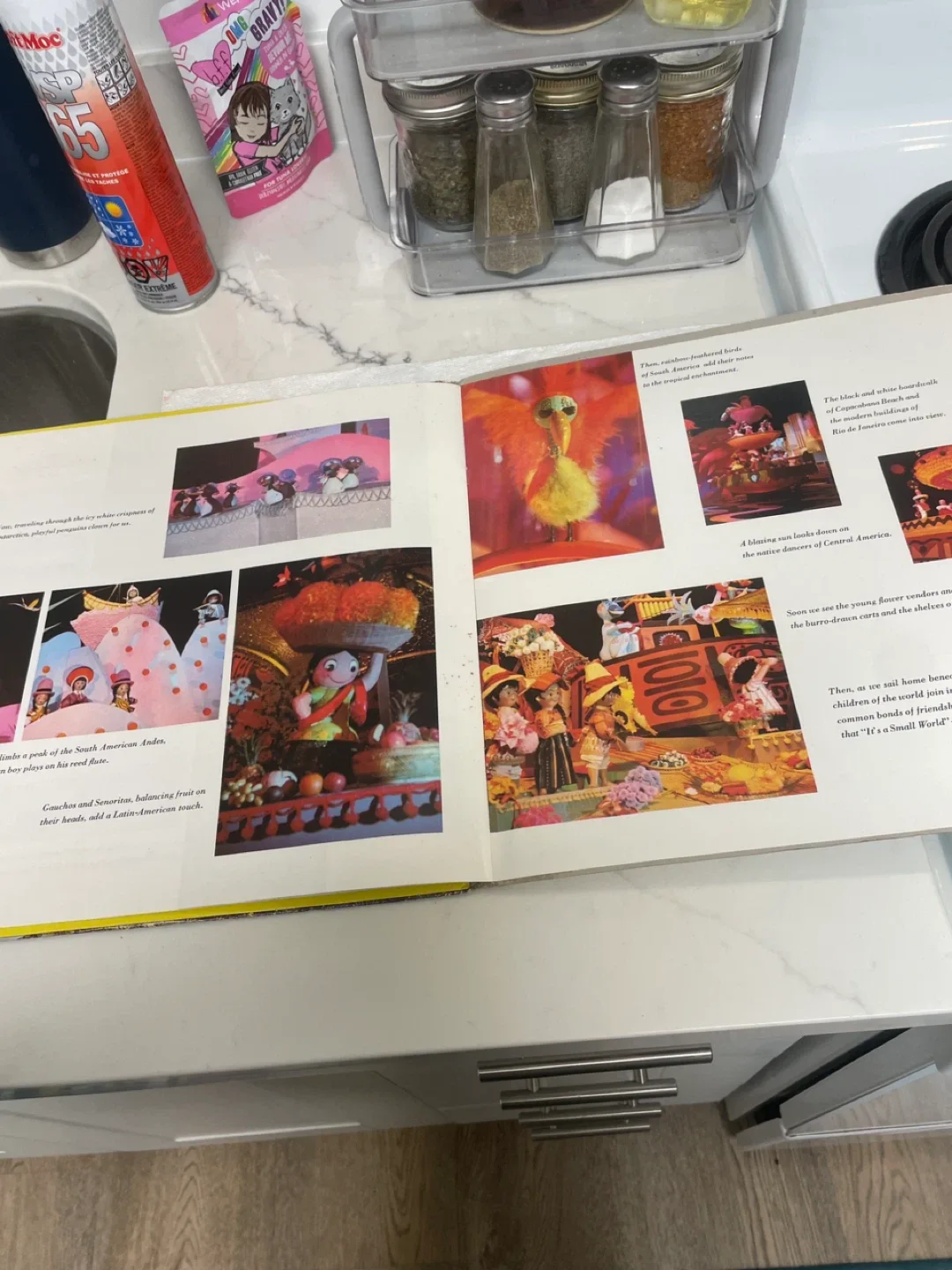 Walt Disney It's a Small World Book & Record image indicator(8)