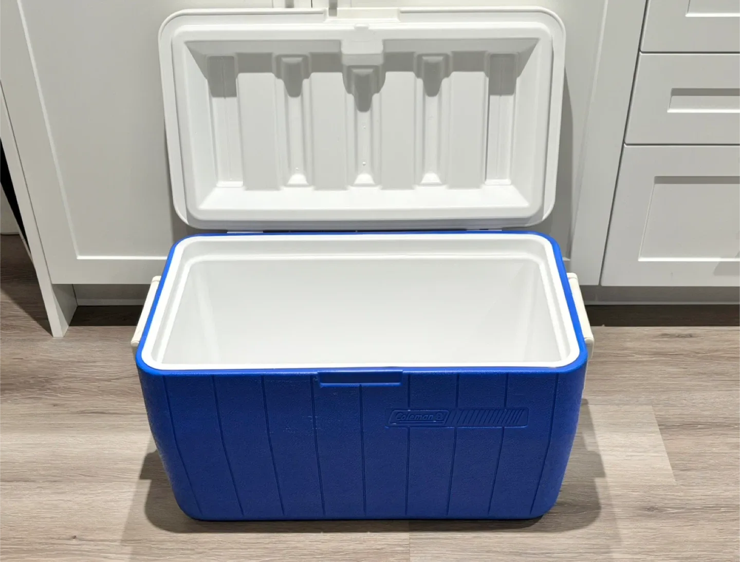 Cooler large size by Coleman Blue