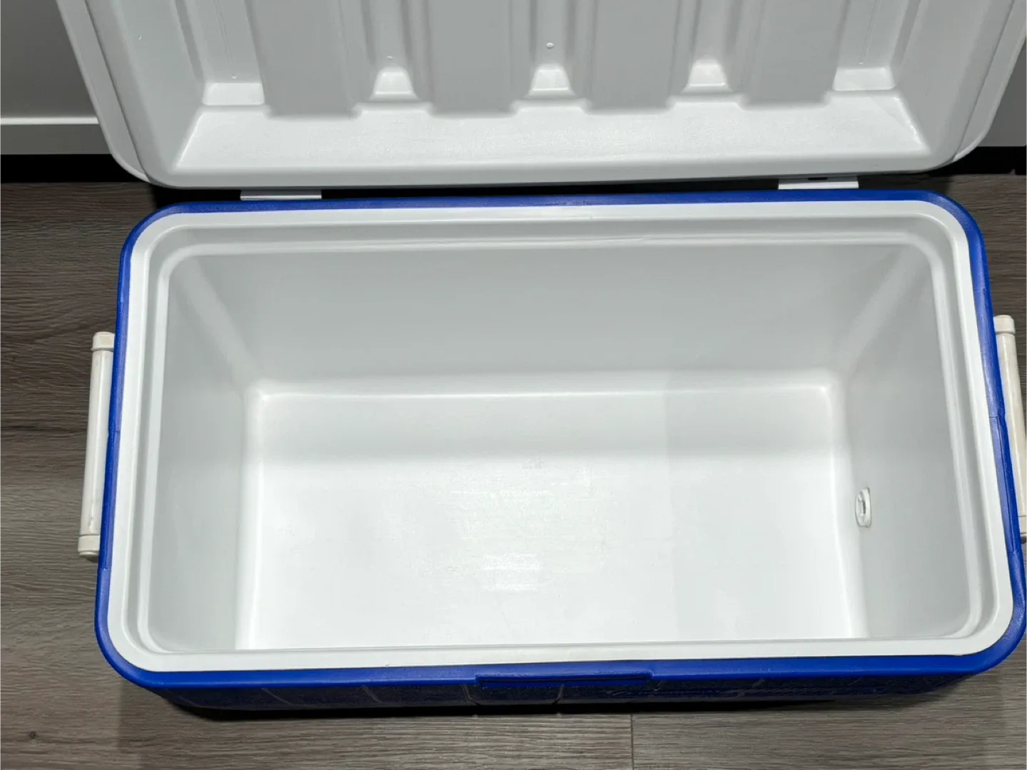 Cooler large size by Coleman Blue image indicator(2)