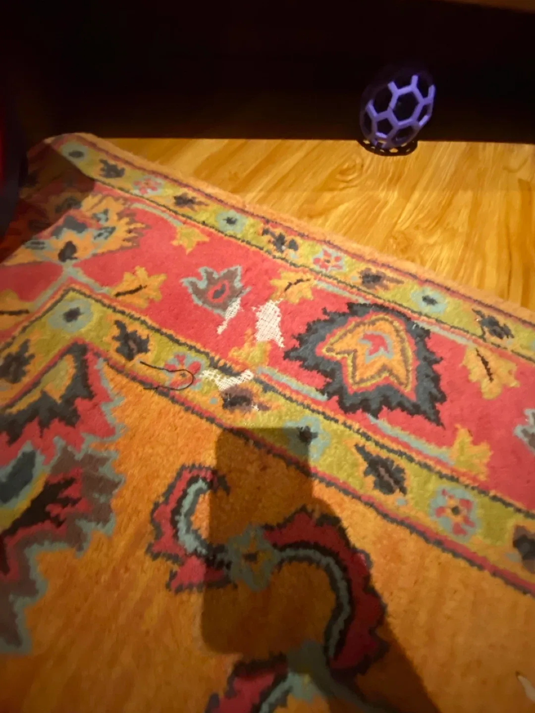 Wool 5 x9 Area Rug - Orange