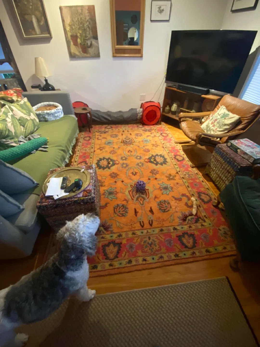 Wool 5 x9 Area Rug - Orange image indicator(2)