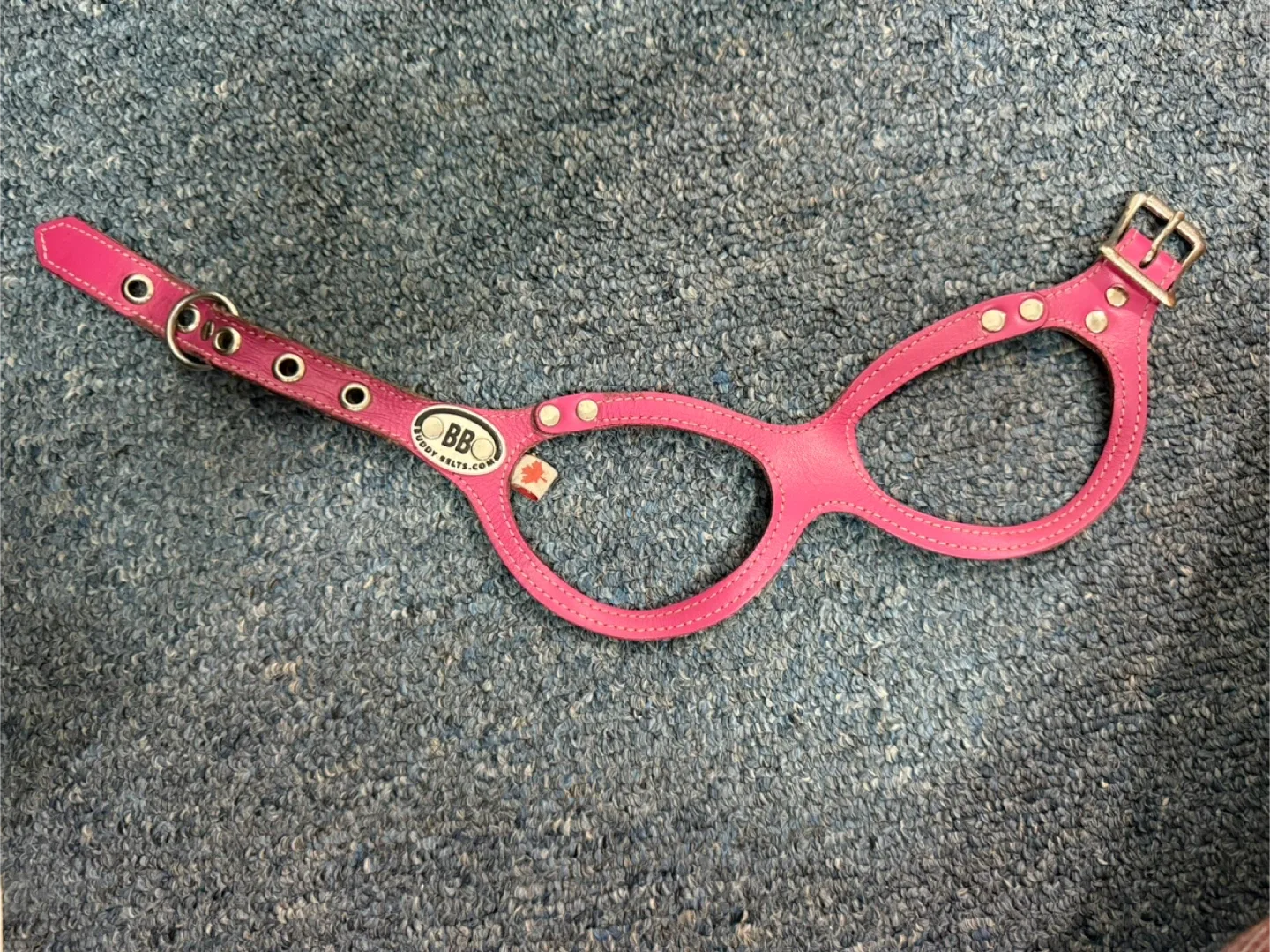 Buddy Belt Dog Harness