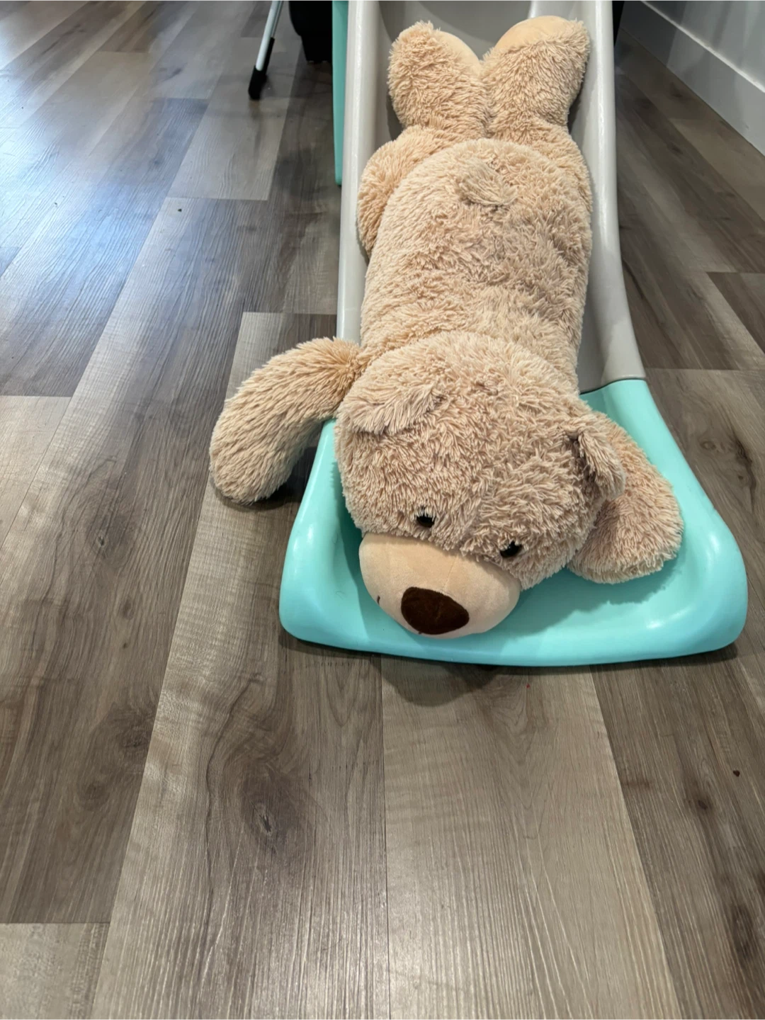 Stuffed Teddy Bear