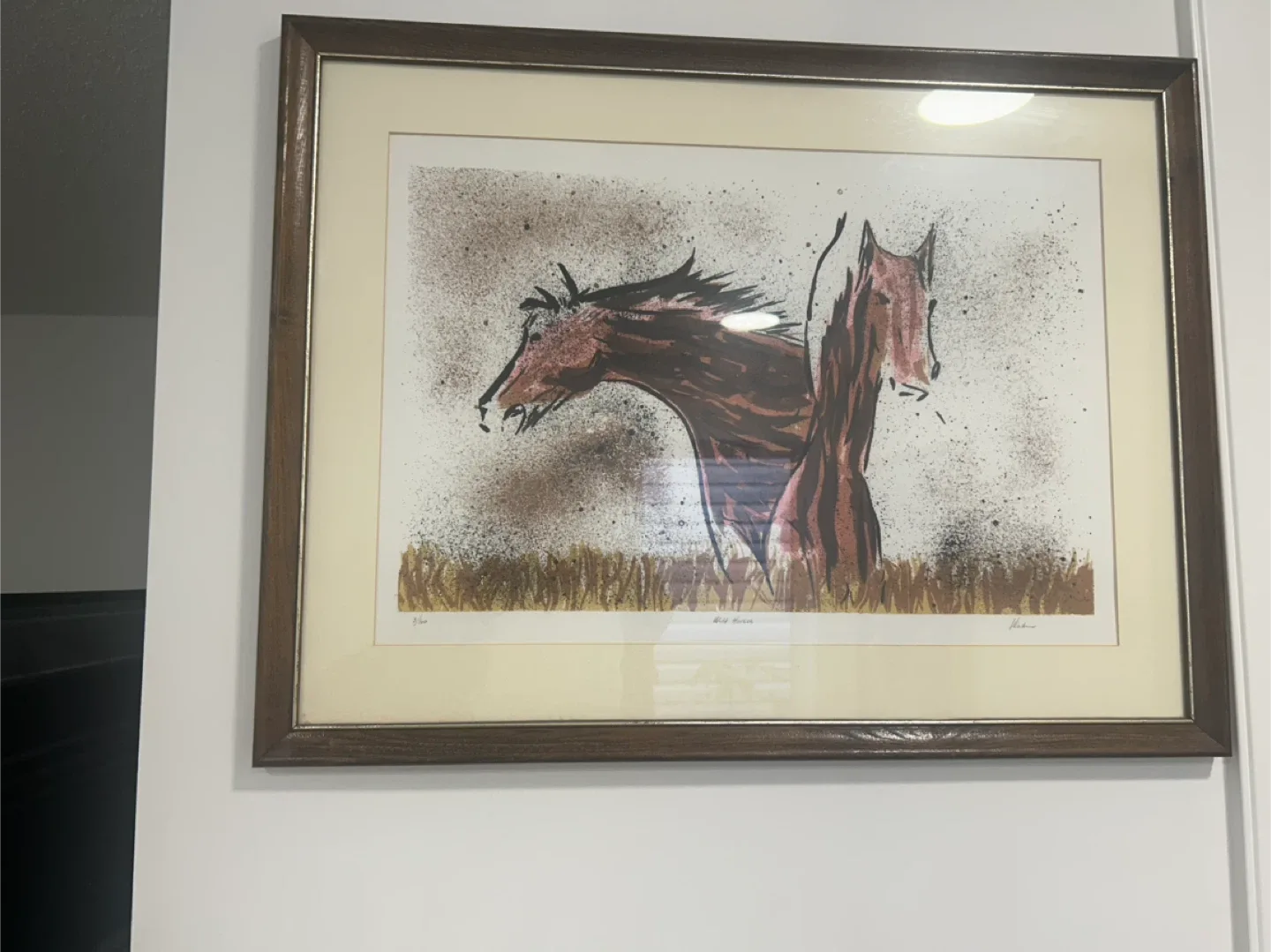 Wild Horses Framed art painted picture by VSK