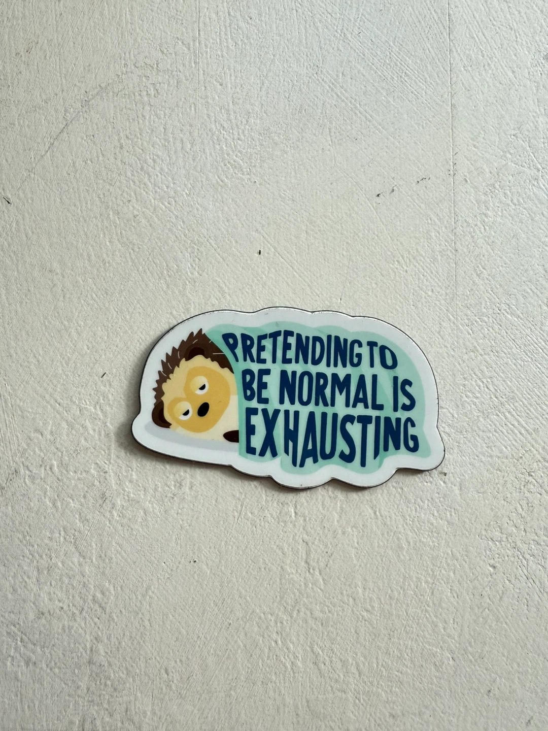 Funny Hedgehog Magnet - YVR artist