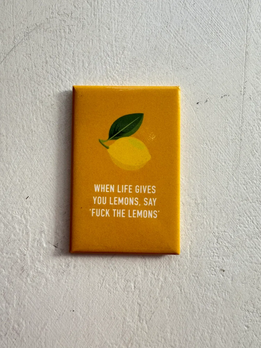 Funny Vulgar Magnet - when life gives you lemons