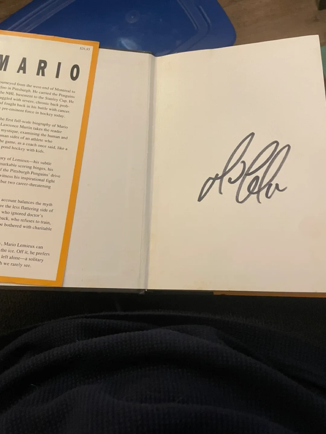 Mario Lemieux Biography by Lawrence Martin image indicator(5)