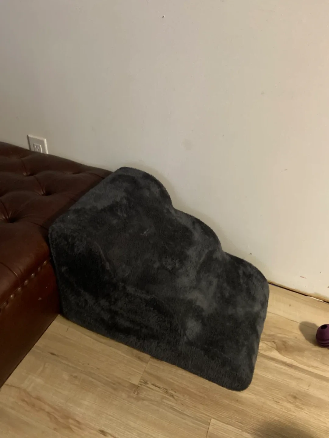 Dog Ramp image indicator(2)