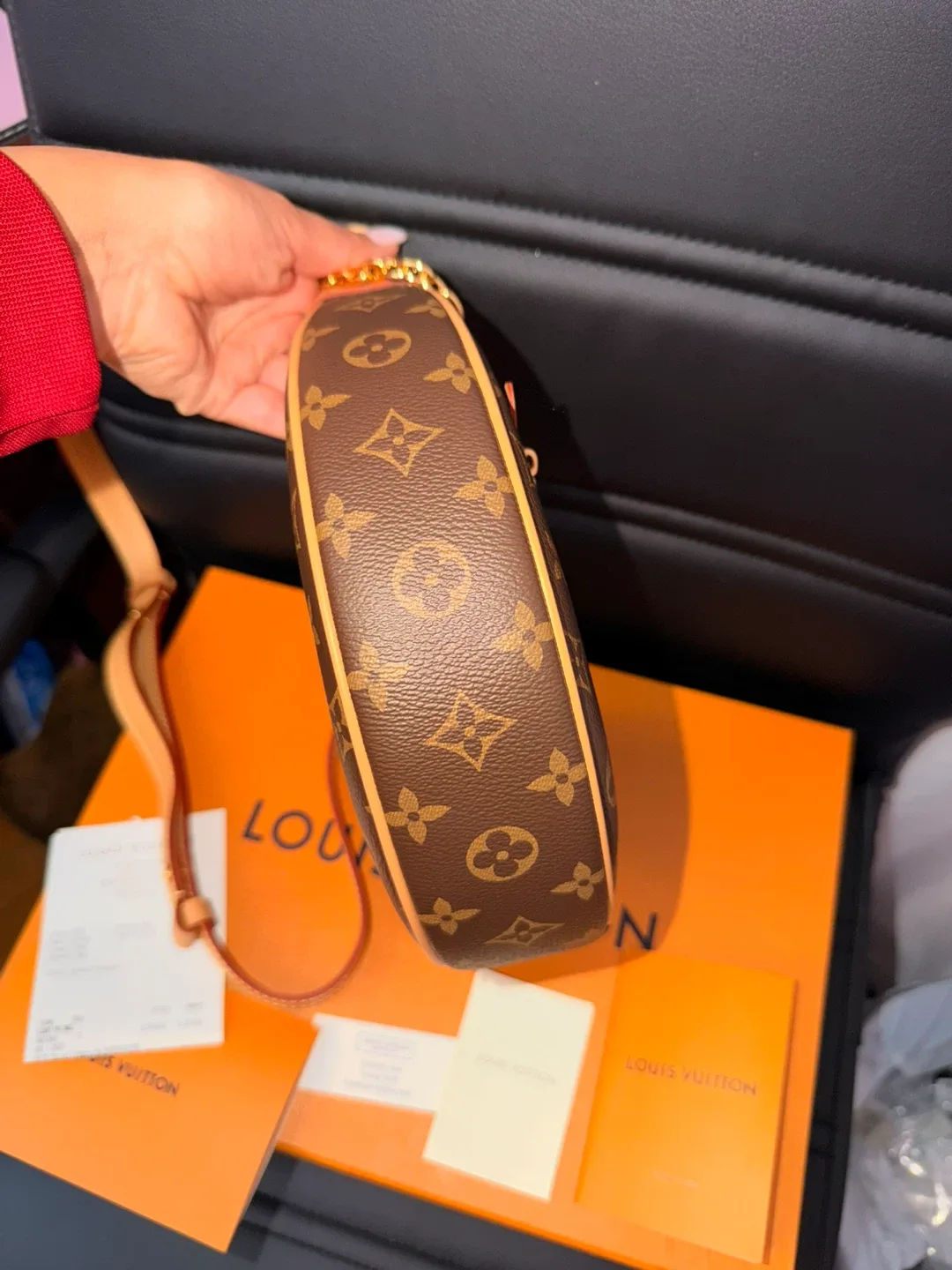 Louis Vuitton Loop Monogram Bag image indicator(4)
