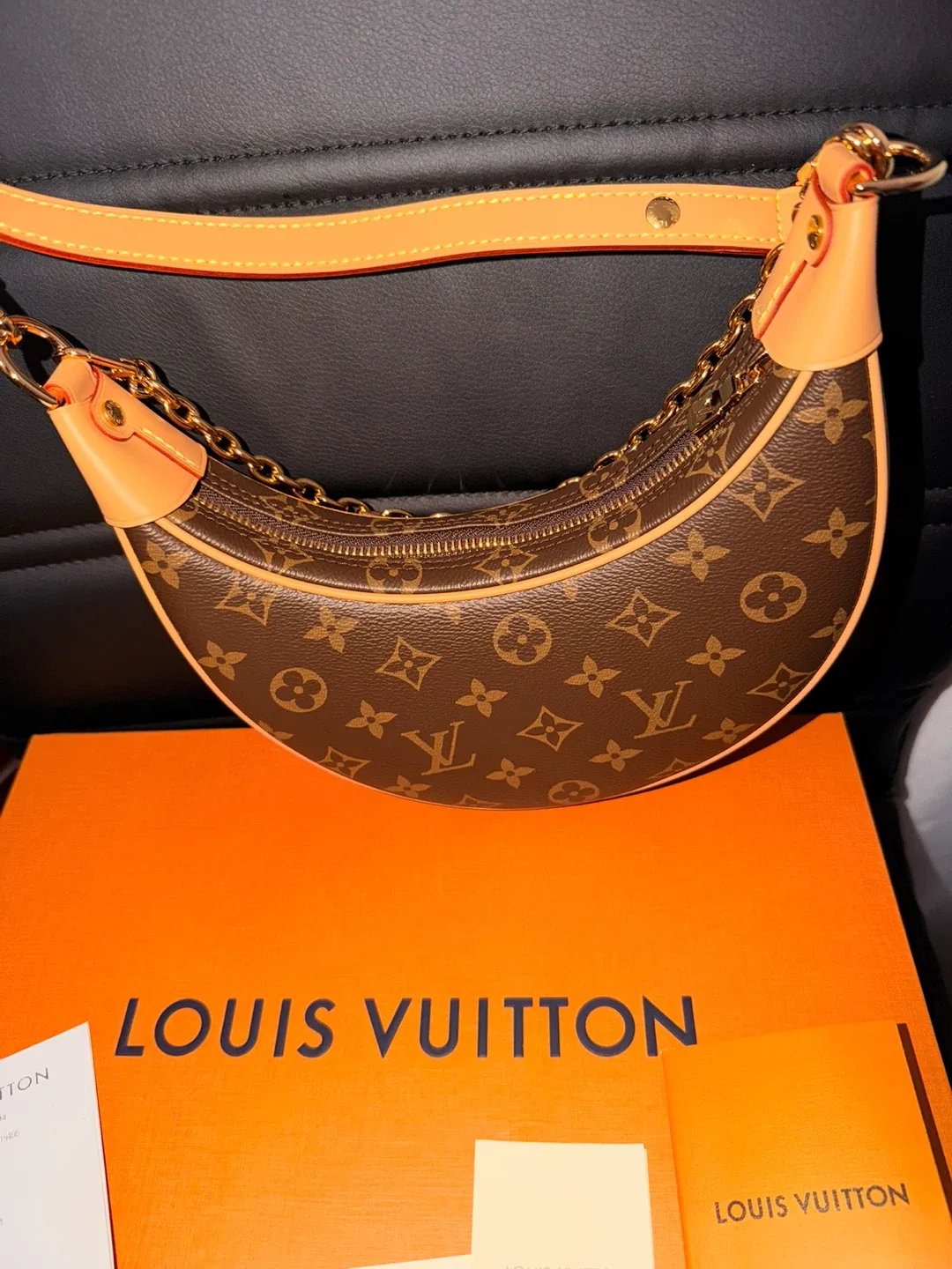 Louis Vuitton Loop Monogram Bag image indicator(5)