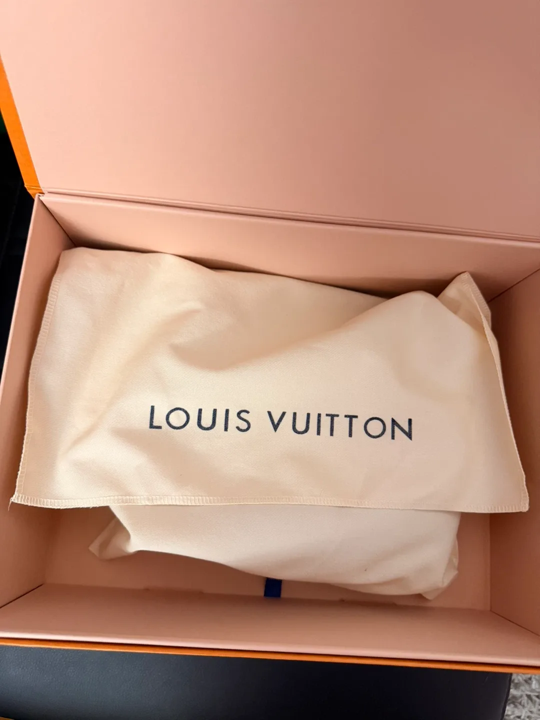 Louis Vuitton Loop Monogram Bag image indicator(9)