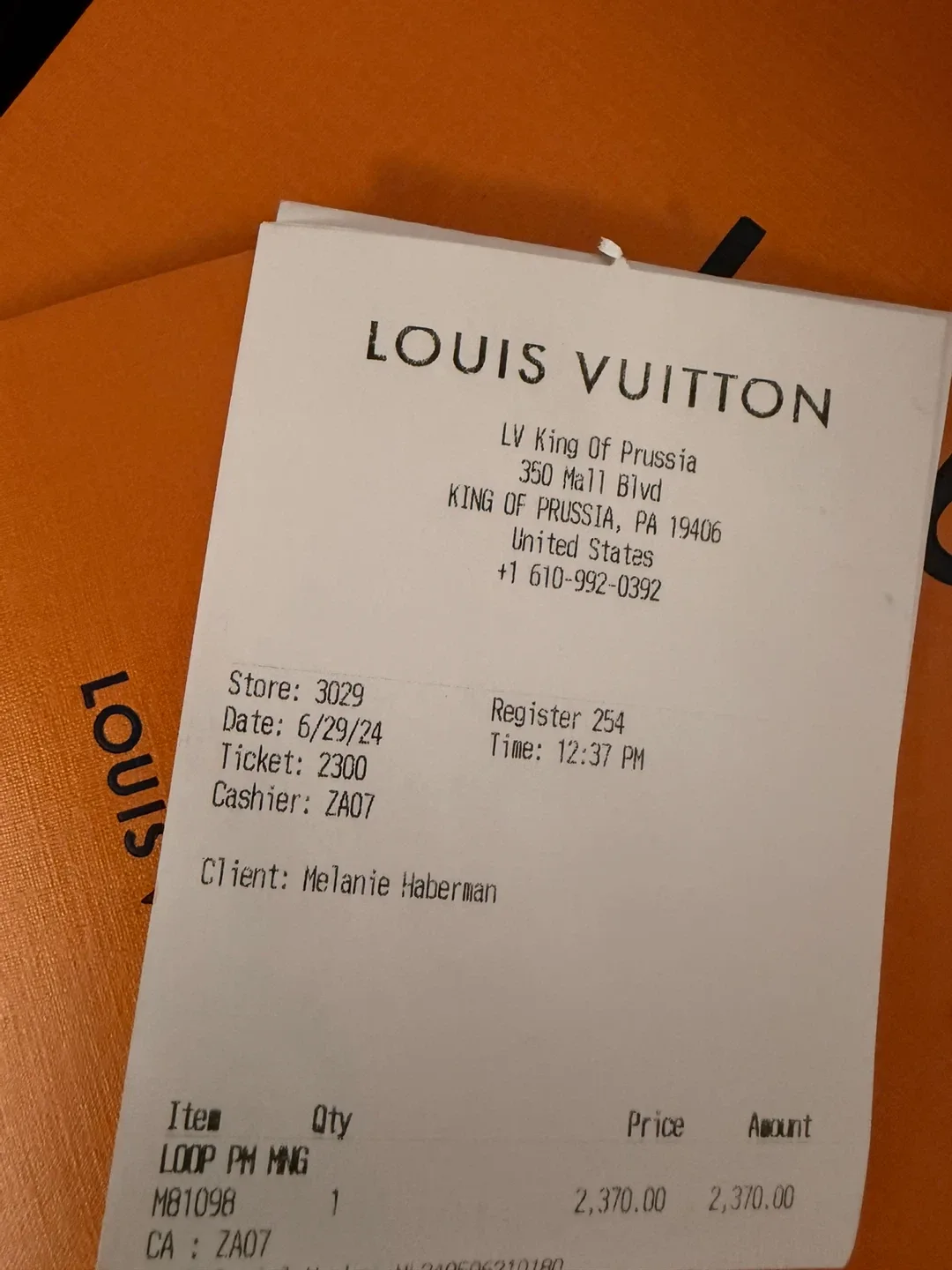 Louis Vuitton Loop Monogram Bag image indicator(8)