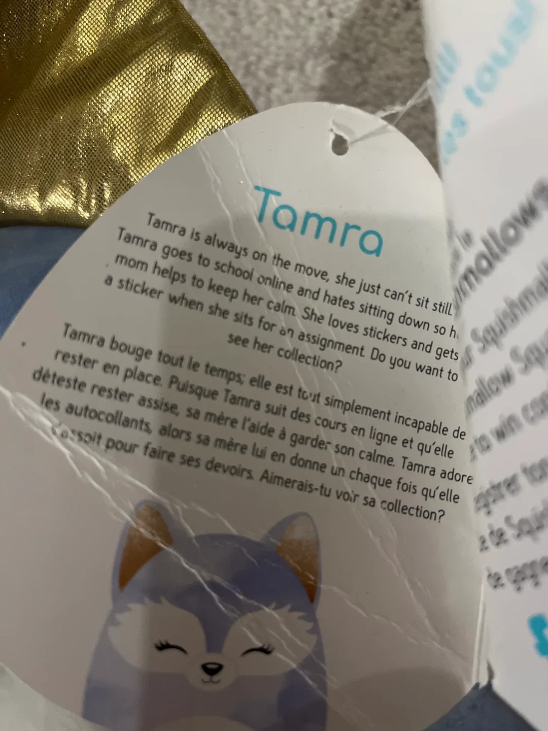 Squishmallow Tamra Fox Plush Toy image indicator(2)