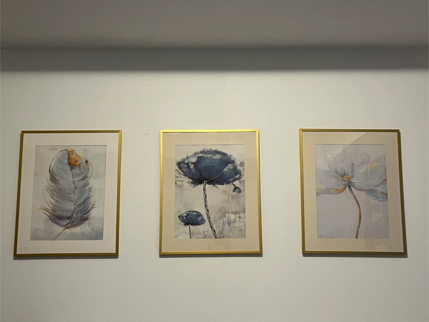 Set of 3 Framed Floral Prints