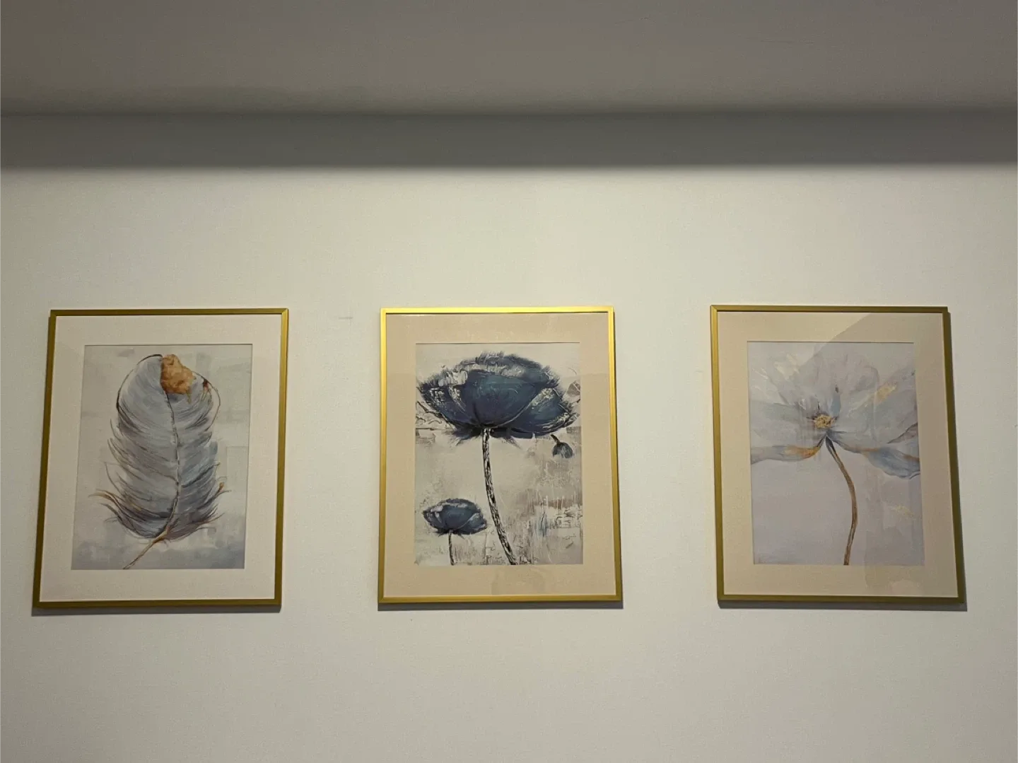 Set of 3 Framed Floral Prints